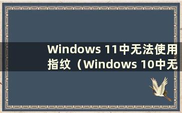 Windows 11中无法使用指纹（Windows 10中无法输入指纹）